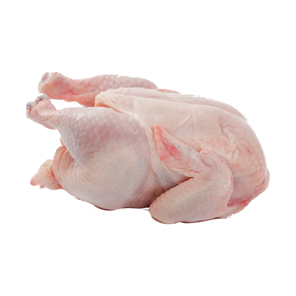 لحم دجاج